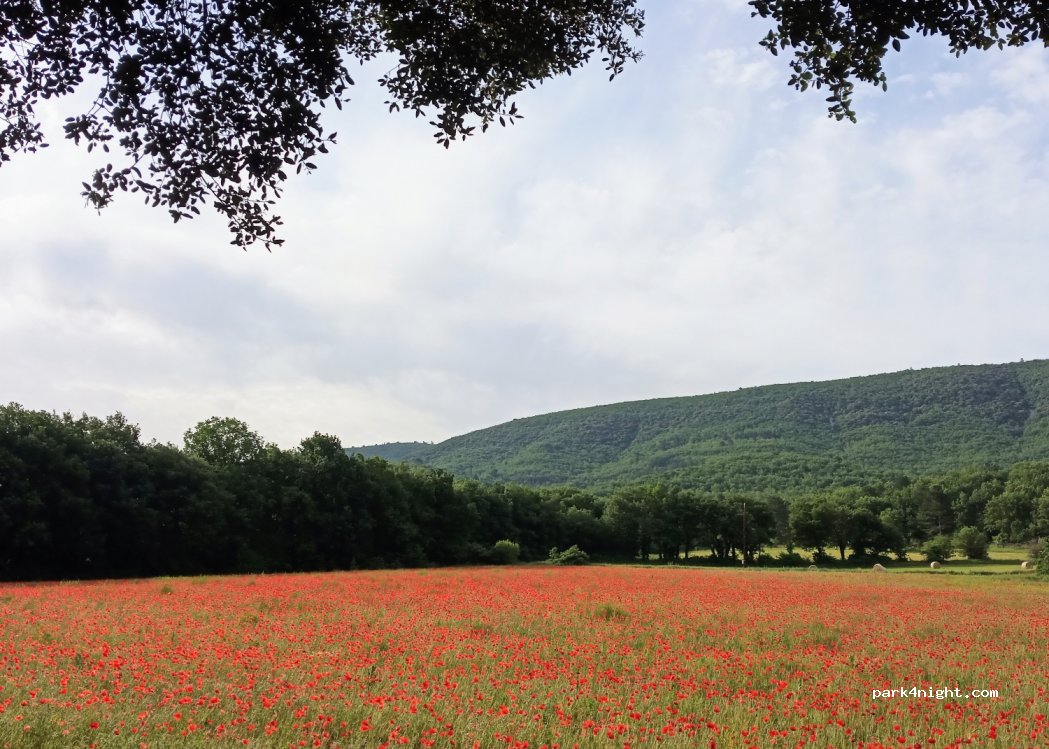 Camping Bois De Sibourg — foto 3