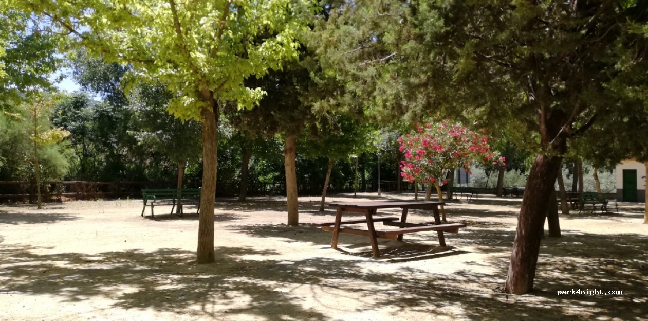 (14857) Nueva Carteya - CO-5206 — foto 2