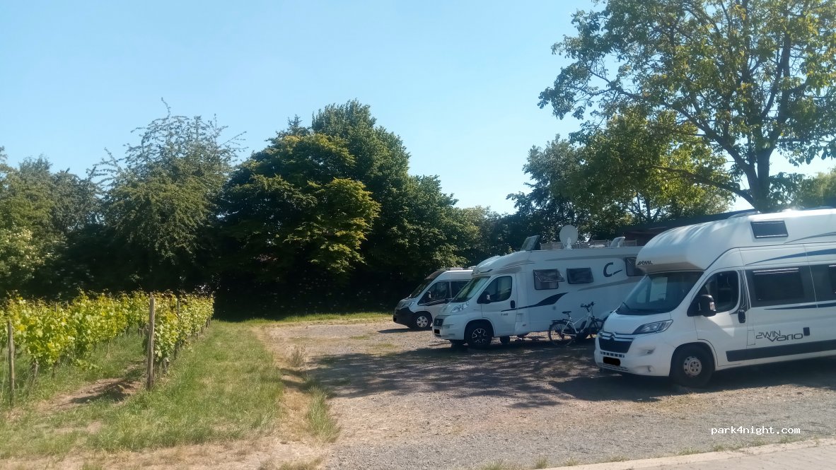 (55278) Dolgesheim - 12 Weinolsheimer Straße — foto