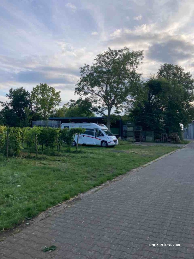 (55278) Dolgesheim - 12 Weinolsheimer Straße — foto 3