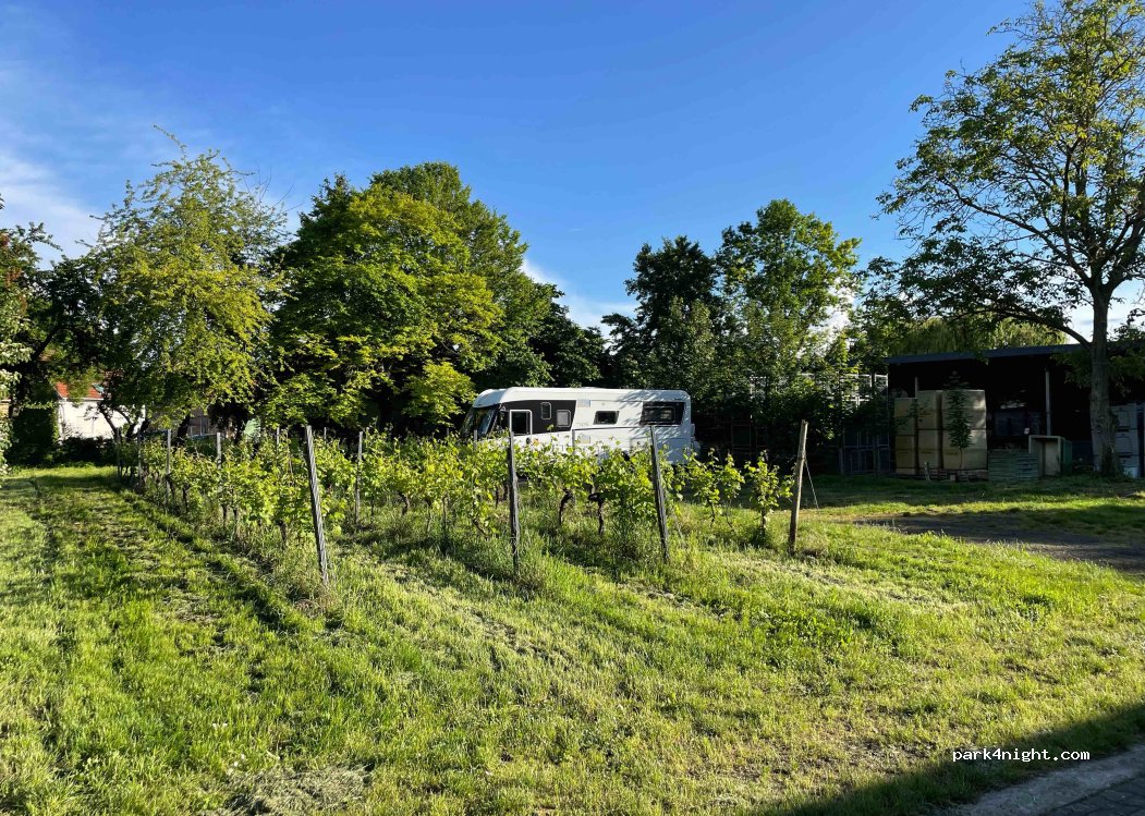 (55278) Dolgesheim - 12 Weinolsheimer Straße — foto 4