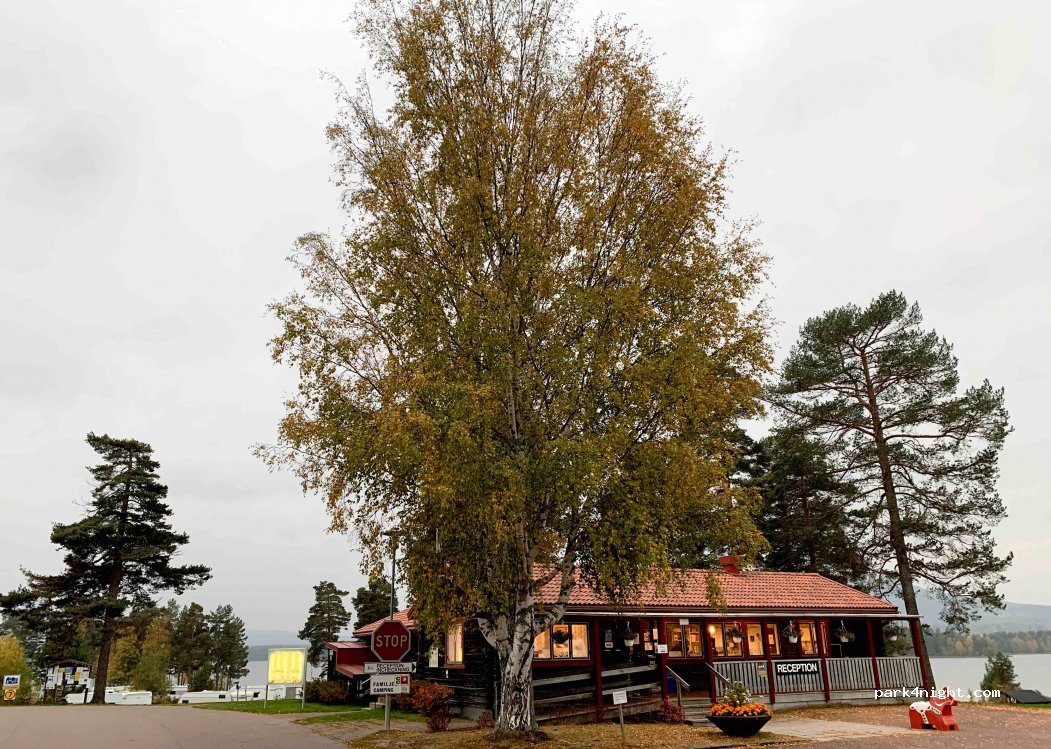 Sollerön Camping — foto 2