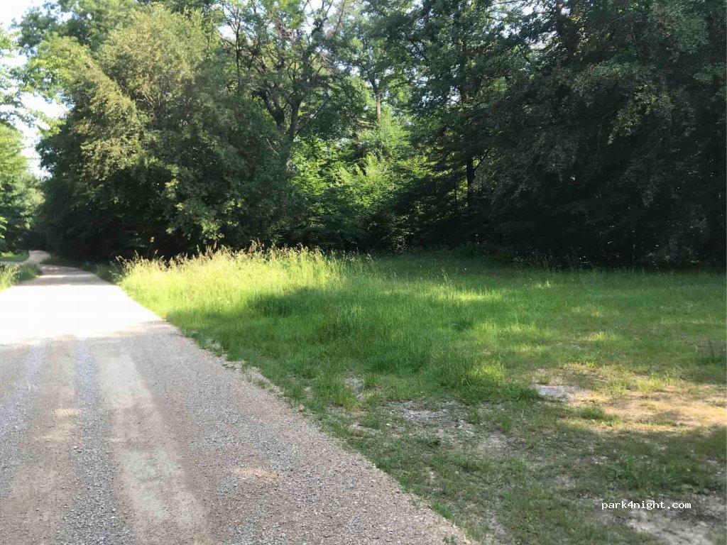(51380) Verzy - Unnamed Road — foto