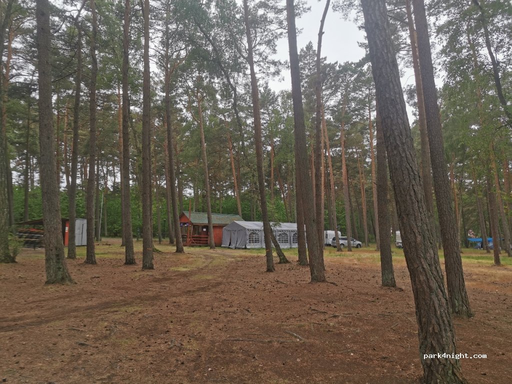 Pole Namiotowe - Leśny zakątek — foto 2