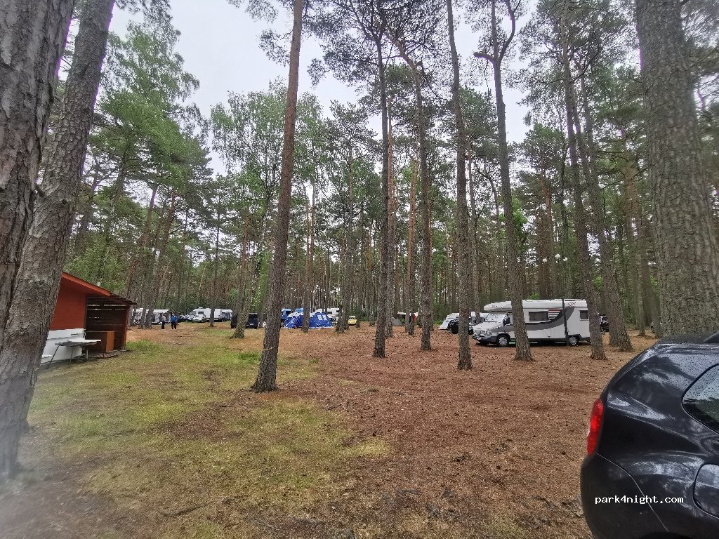 Pole Namiotowe - Leśny zakątek — foto 3