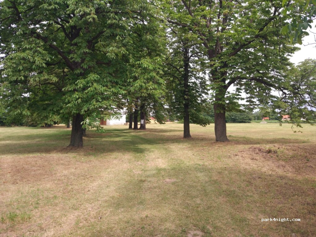 (31304) Topolje - Unnamed Road — foto