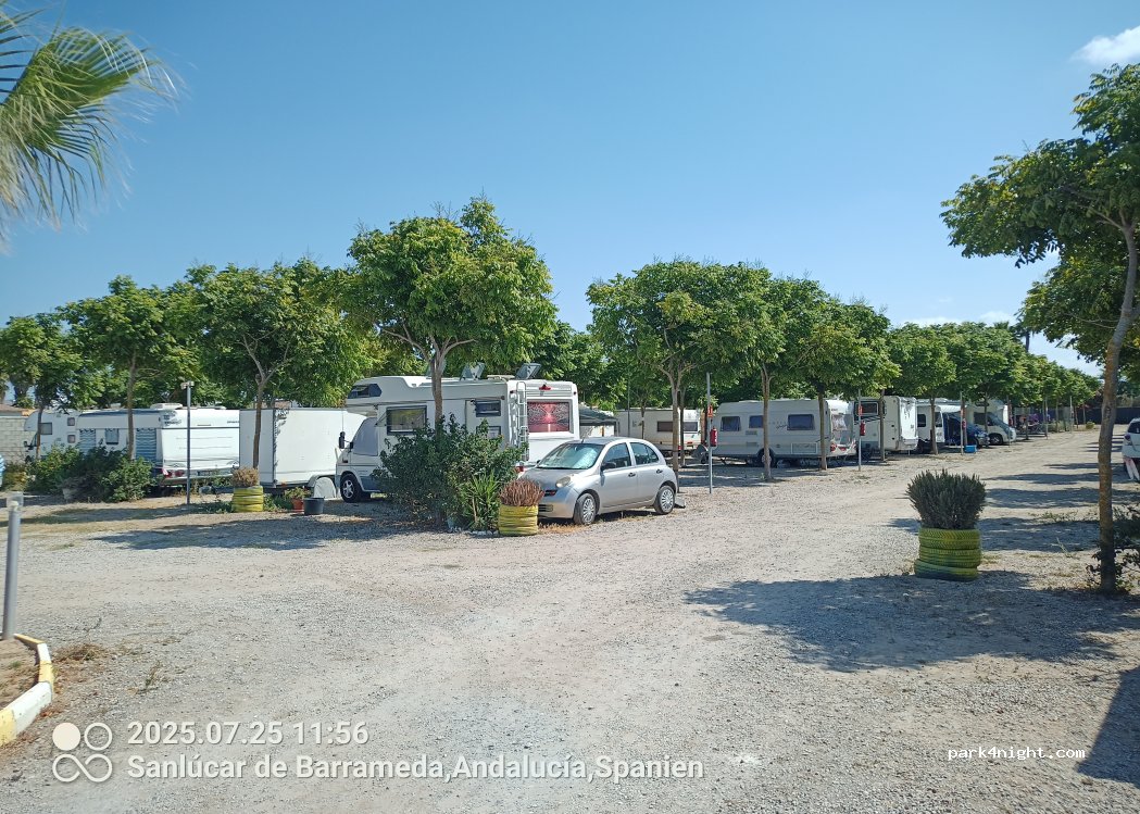 (11540) Sanlúcar de Barrameda - s/n Camino de la Reyerta — foto 4