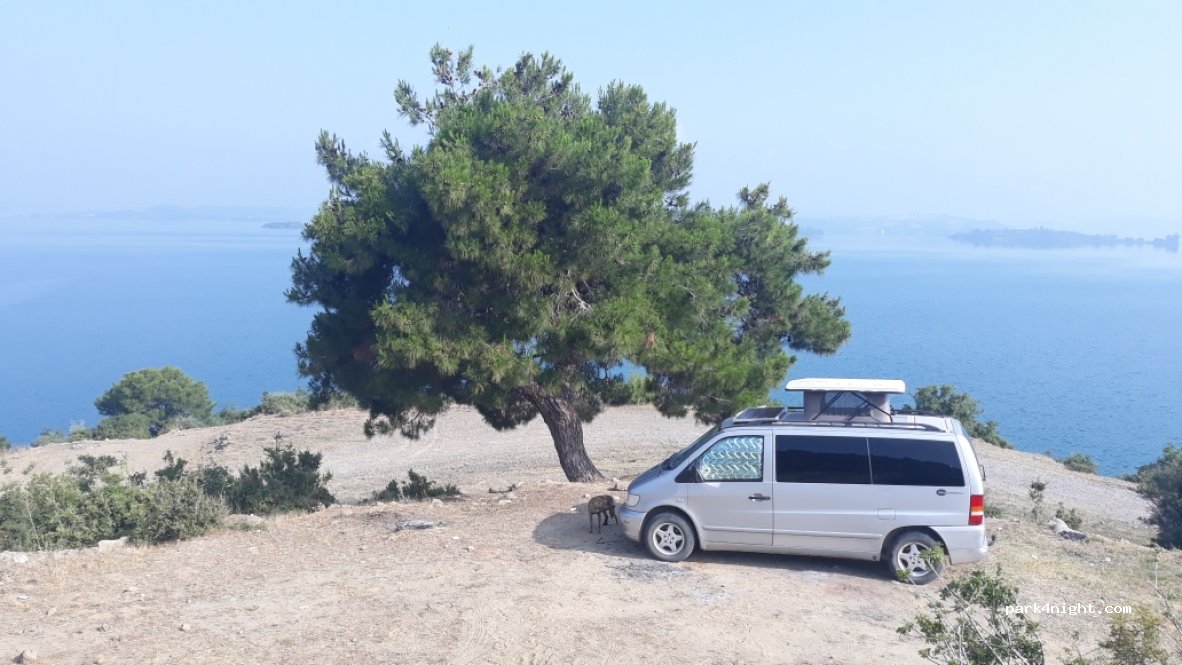 (01790)  - Karayusuflu Köyü Yolu — foto