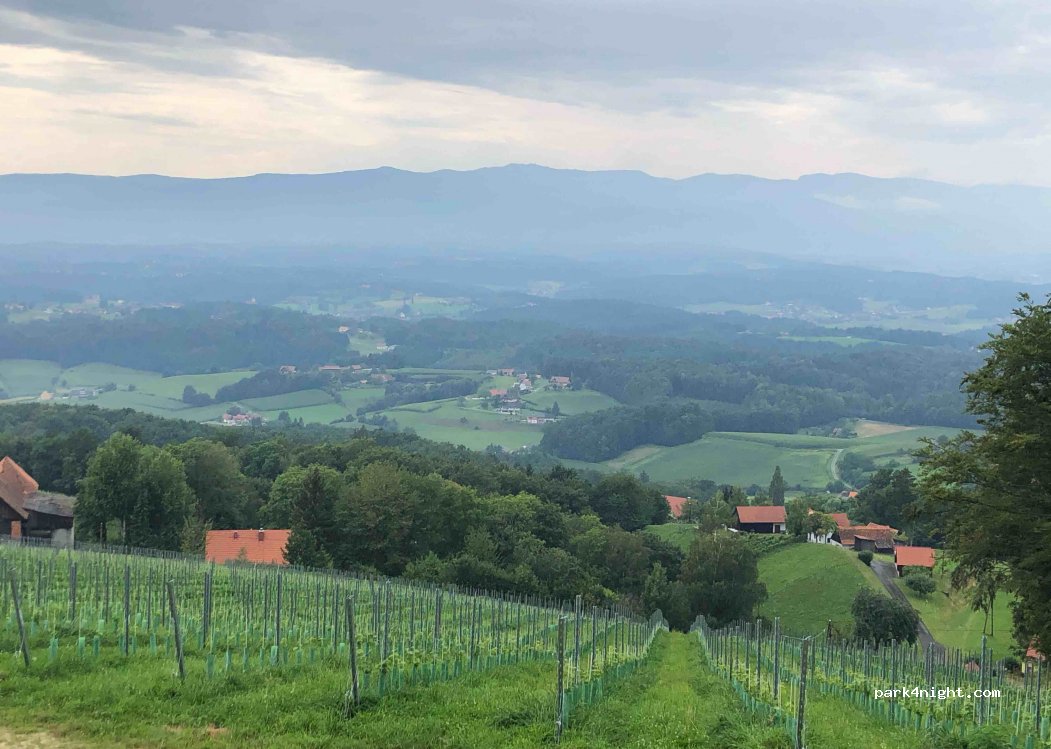 Weinberg.- Naturpark. - Panoramacamping sausalerland hl — foto