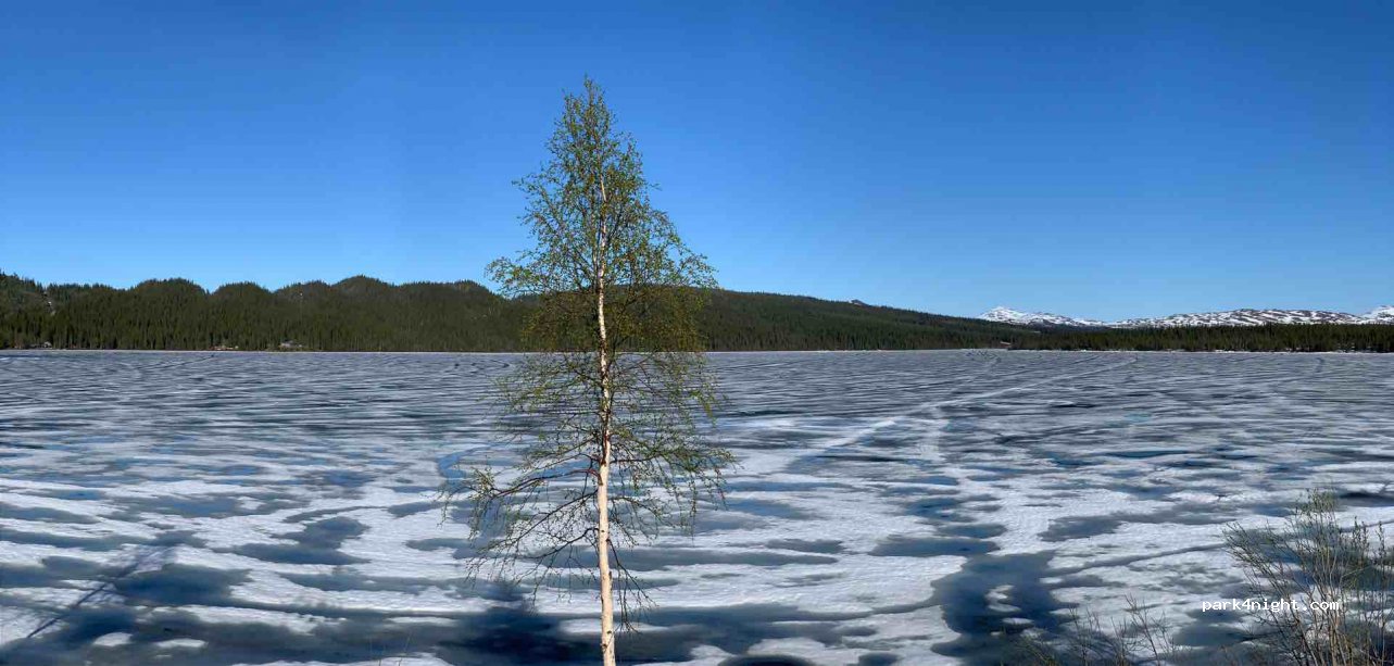 (833 99) Stora Blåsjön - 175 MESVATTNET — foto