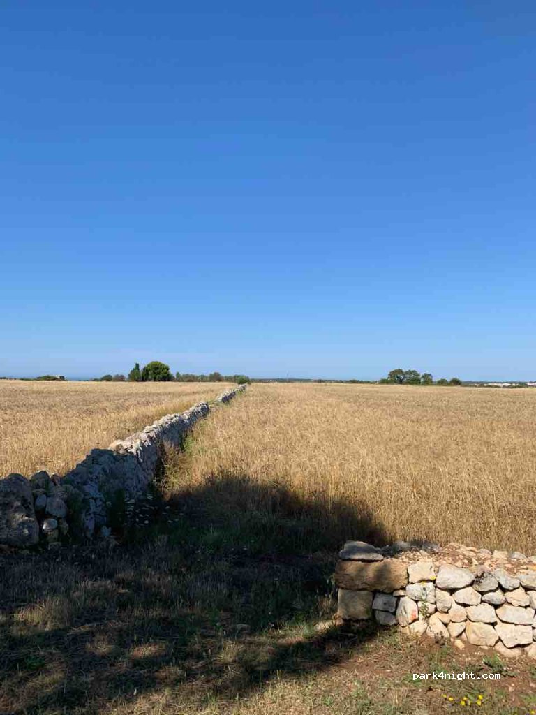 (73034) Gagliano del Capo - Unnamed Road — foto