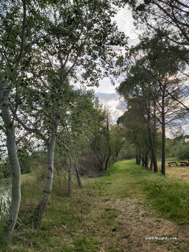 (28598) Villamanrique de Tajo - 1 Calle del Prado — foto 2