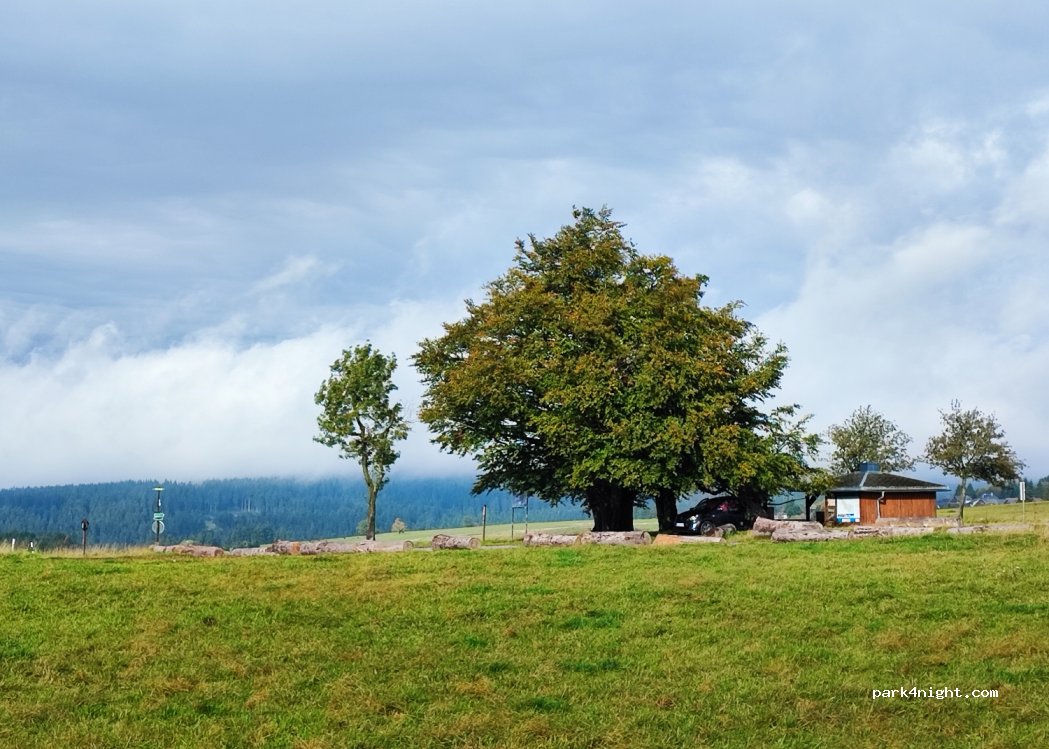 (98701) Neustadt am Rennsteig - Rennsteig — foto 4