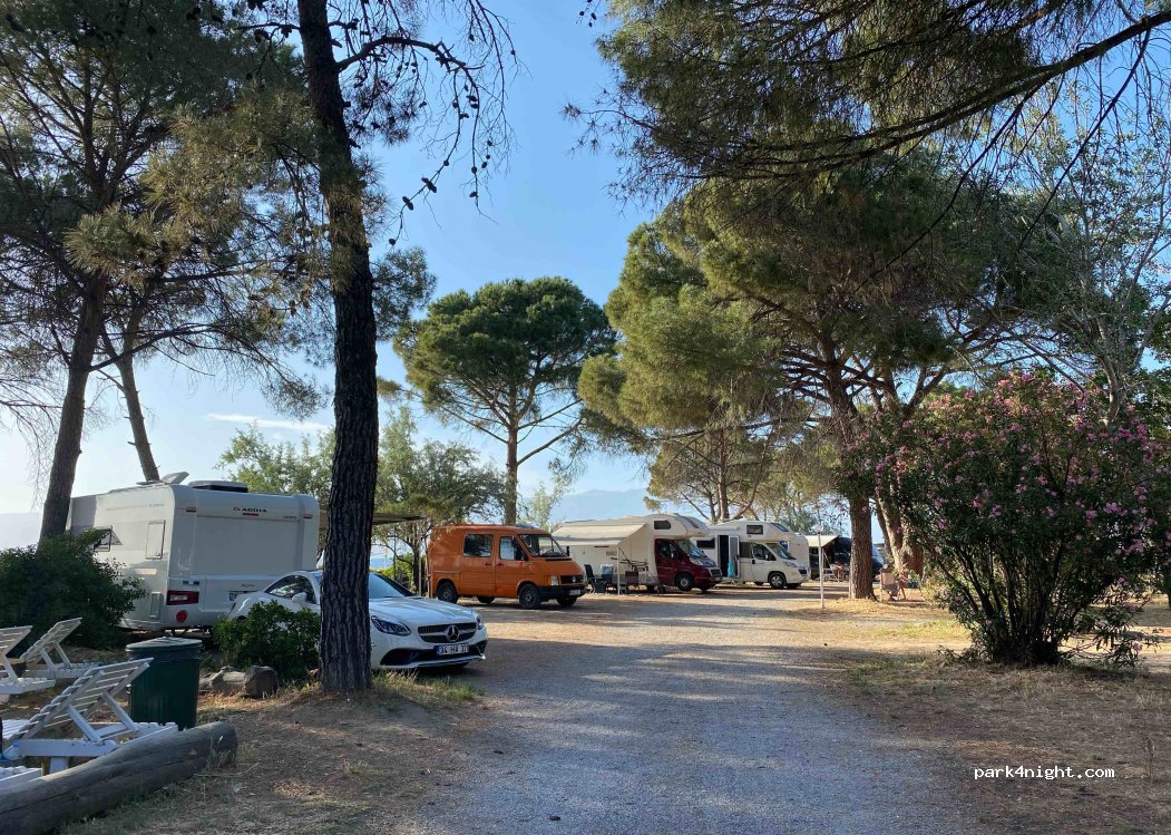 Altin Camp — foto 3