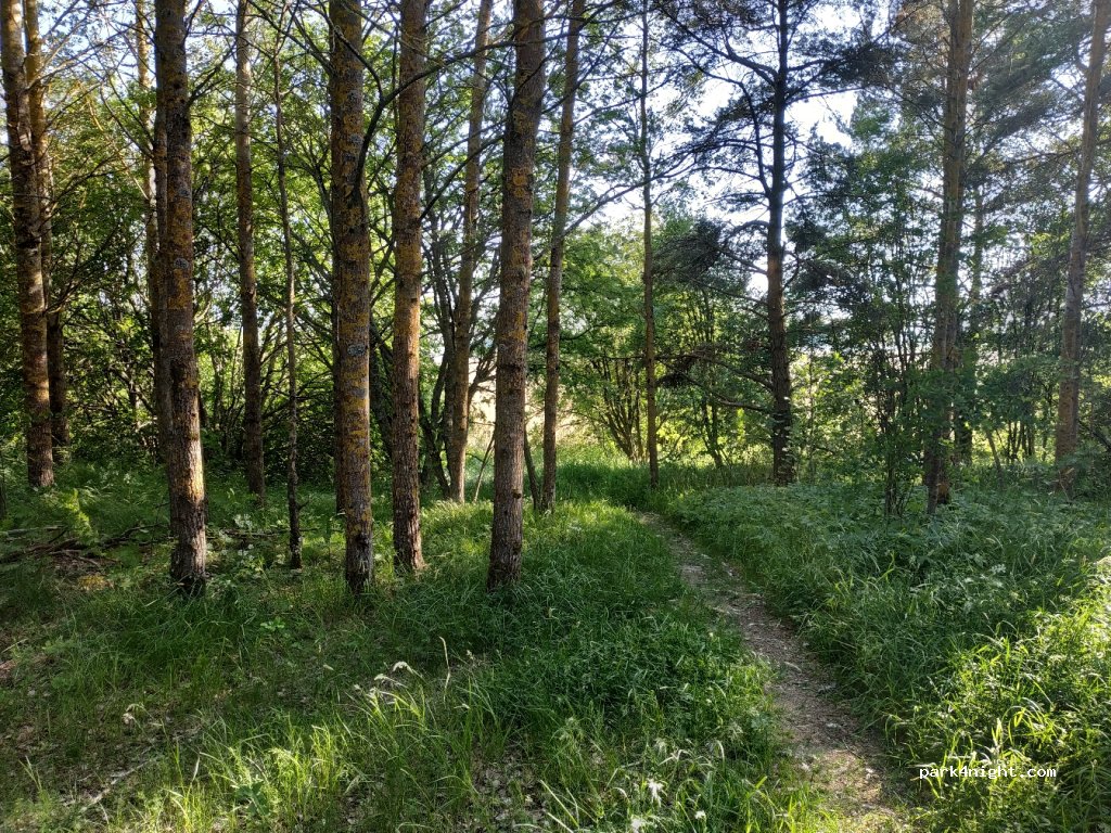 (21500)  - 371 Helsingintie — foto