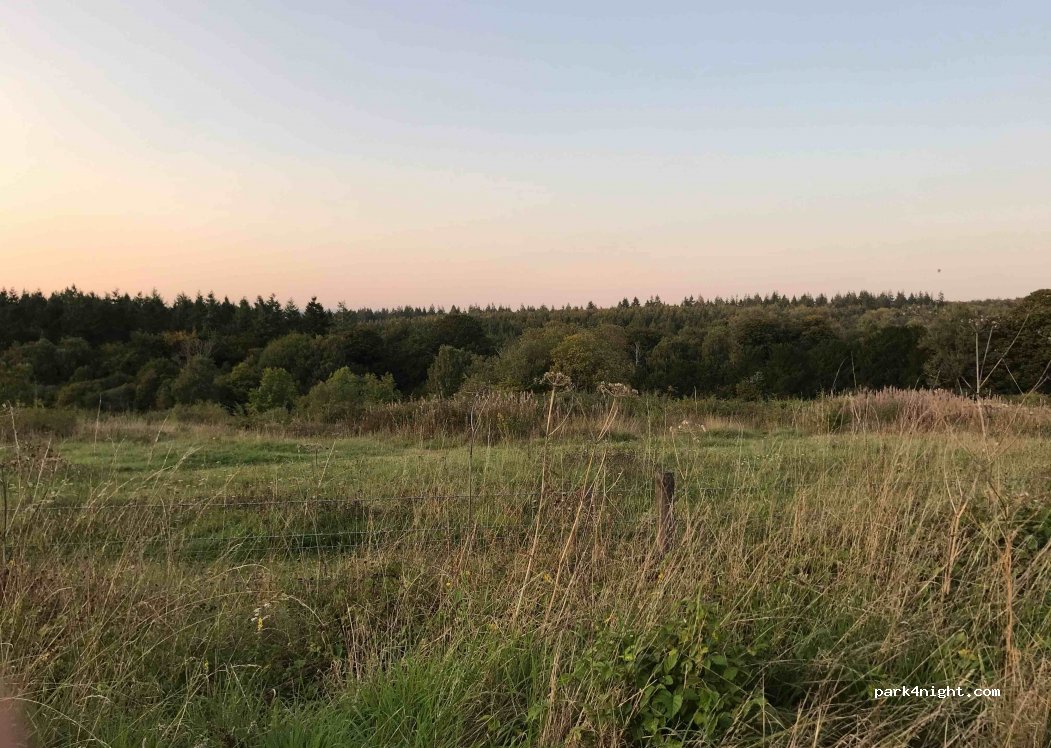 (SO21 2JG)  - Farley Mount Road — foto