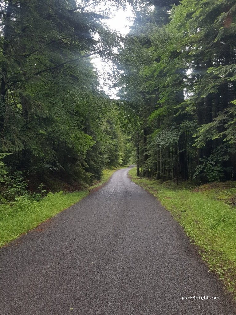(43190) Chenereilles - Unnamed Road — foto 3