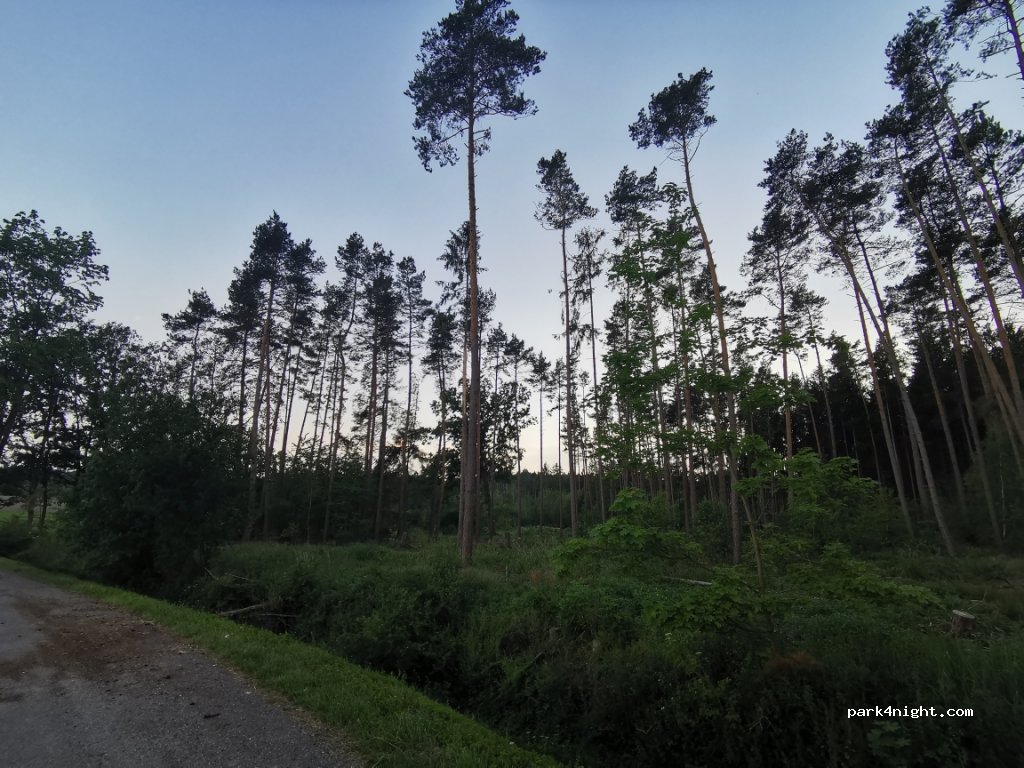 (91601) Dombühl - Unnamed Road — foto 2