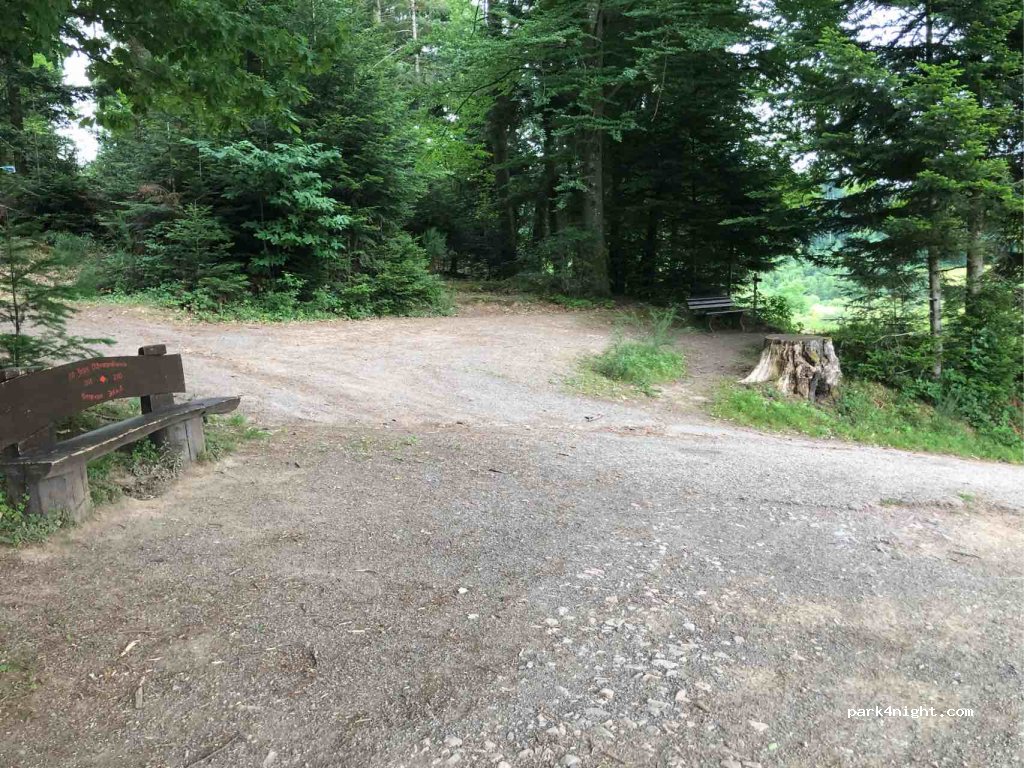 (77736) Zell am Harmersbach - Unnamed Road — foto