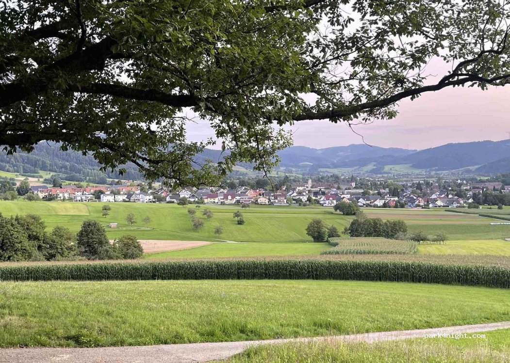(77736) Zell am Harmersbach - Unnamed Road — foto 5