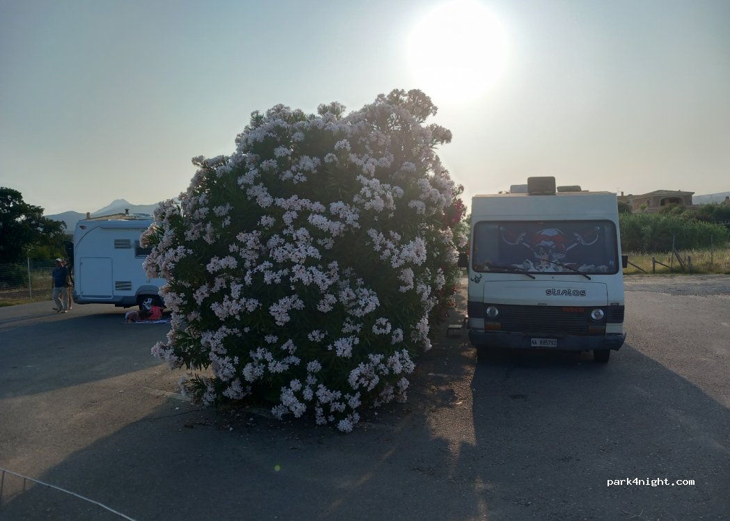 (08020) San Teodoro - 1 Via Niuloni — foto 4