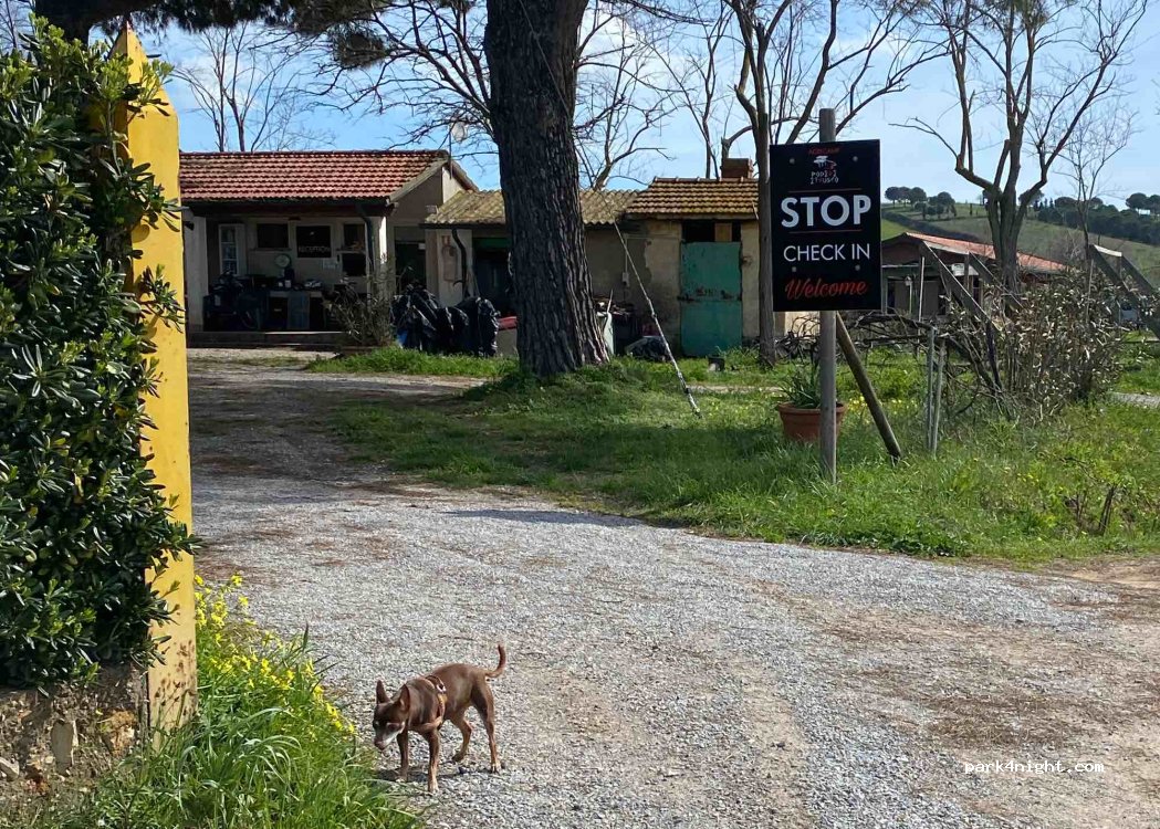 Podere Etrusco — foto 4