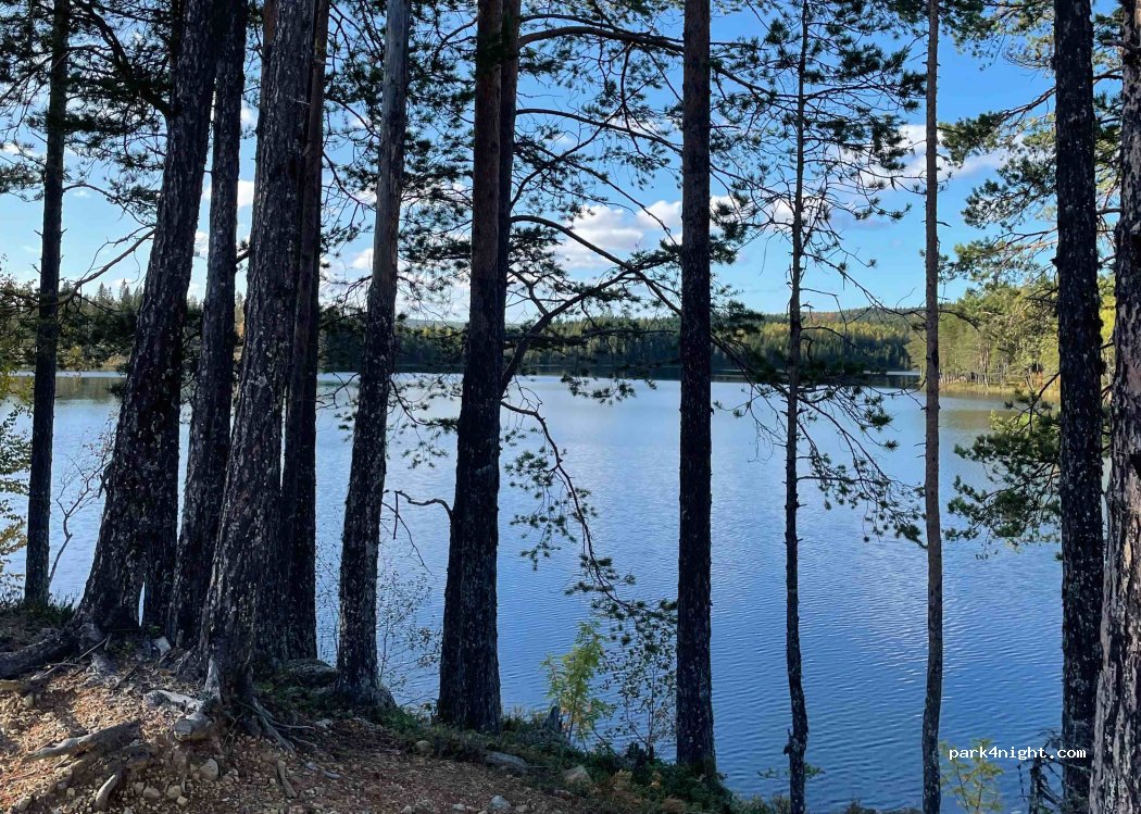 (860 13)  - 203 STORHULLSJÖN — foto 4