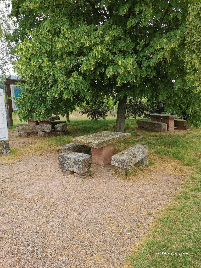 (67650) Blienschwiller - 1 Route d'Epfig — foto