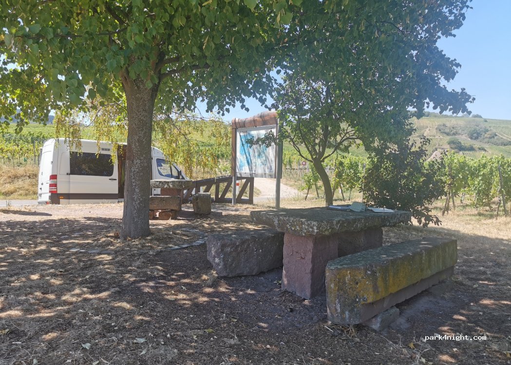 (67650) Blienschwiller - 1 Route d'Epfig — foto 2