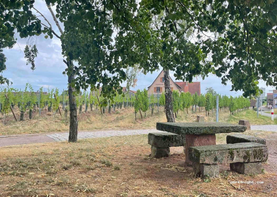(67650) Blienschwiller - 1 Route d'Epfig — foto 3