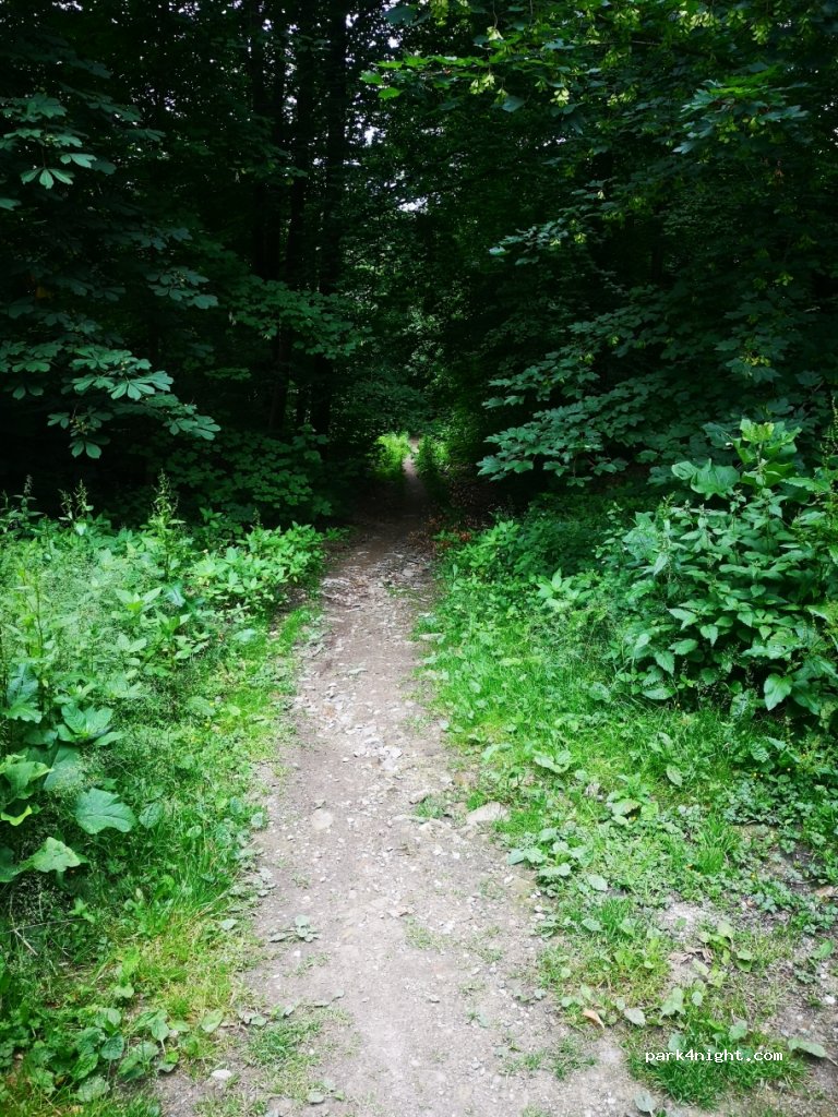 (65195) Wiesbaden - Platter Straße — foto 4