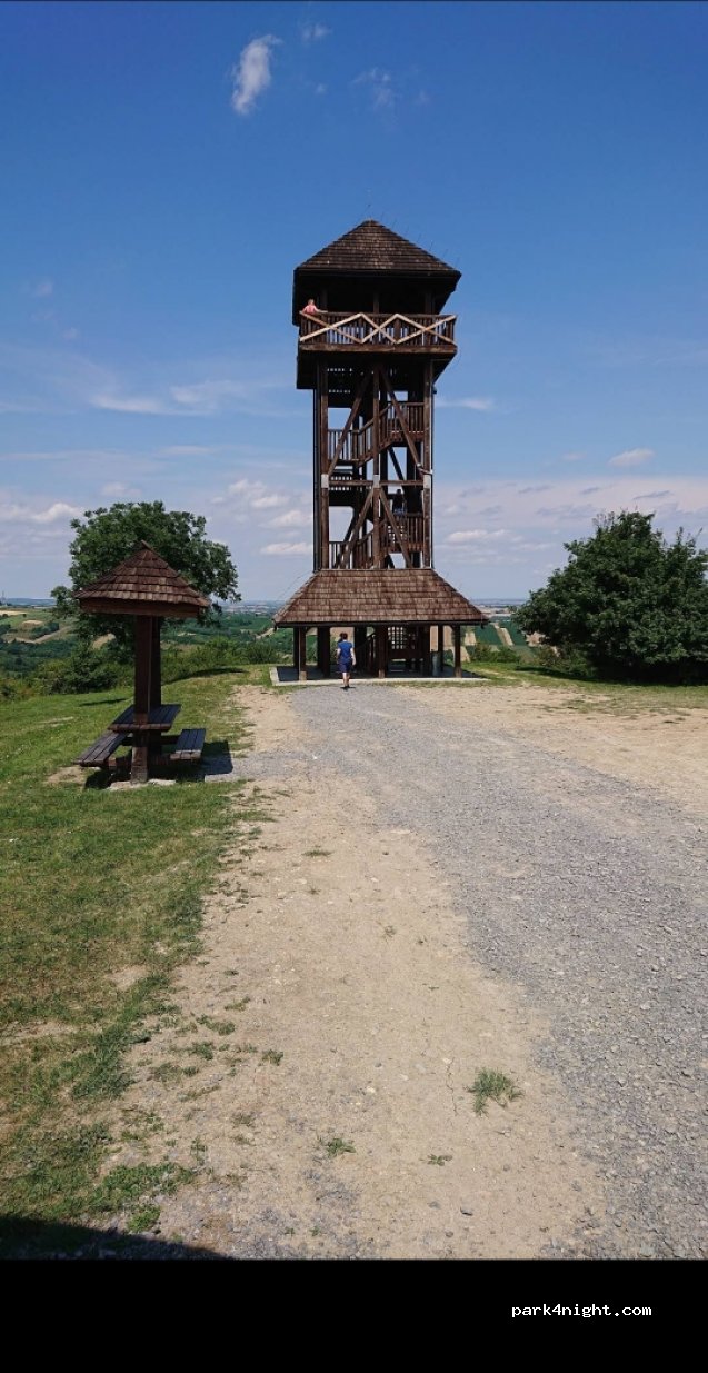 (37-560) Pruchnik - 18 Korzenie — foto 3