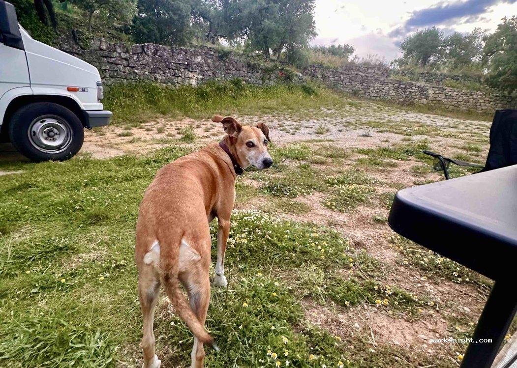 Mas Karmel B&B & Camping — foto 4