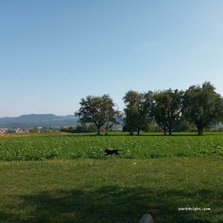 (72144) Dußlingen - Unnamed Road — foto