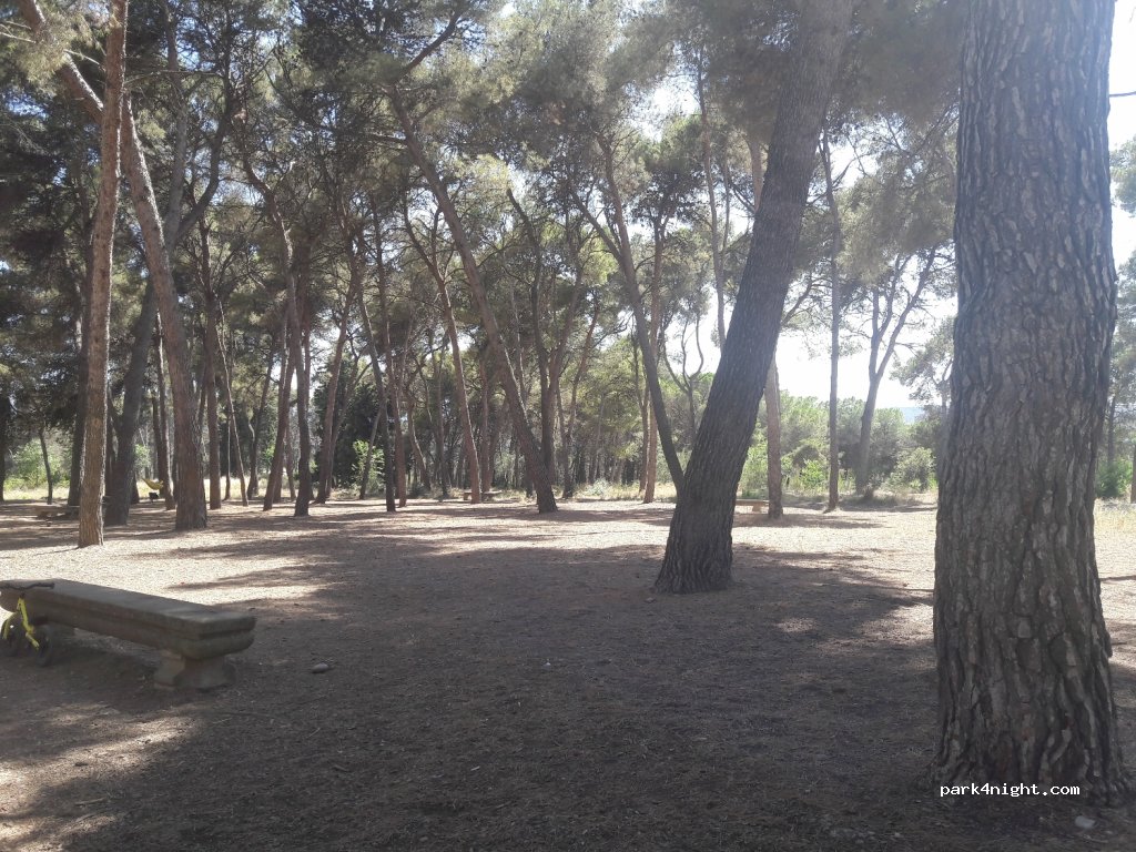 (08202) Sabadell - — foto 3