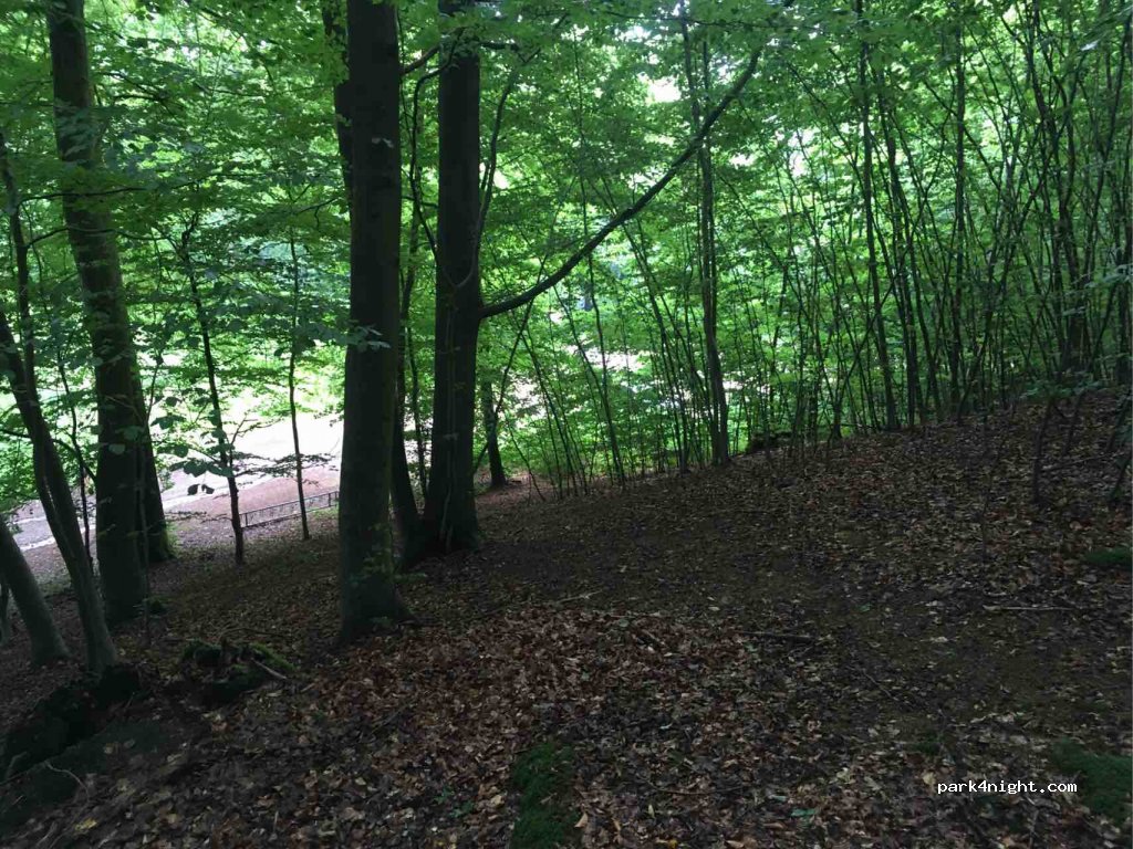 (22927) Großhansdorf - 149 Wöhrendamm — foto