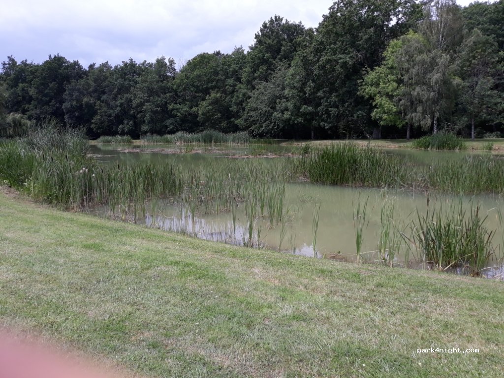 (41230) Veilleins - 2 Route de Romorantin — foto 2