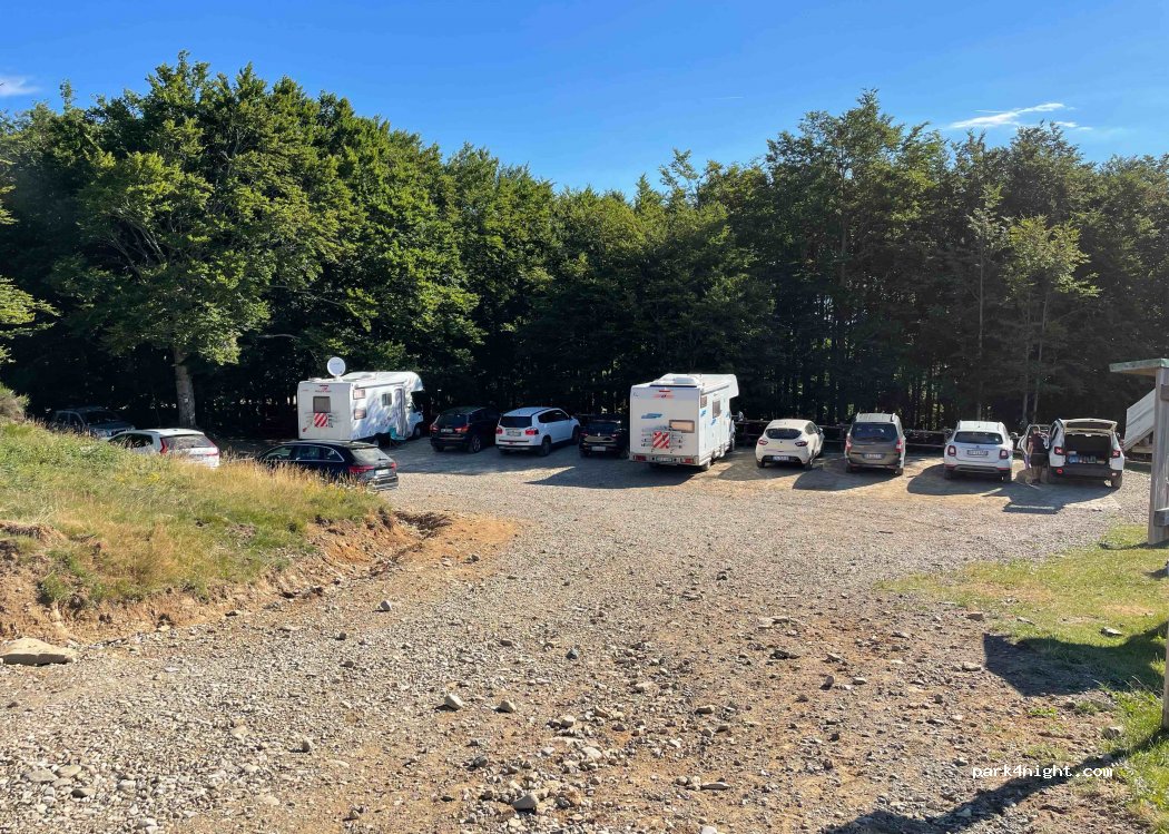 (52018) Castel San Niccolò - Unnamed Road — foto 4