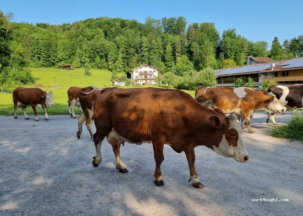 (83075) Bad Feilnbach - — foto