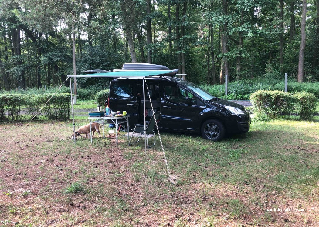 Camp Bursztynowy Las — foto 2