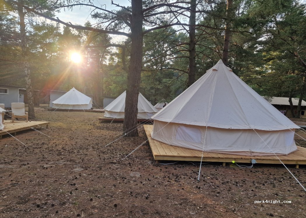 Camp Bursztynowy Las — foto 4