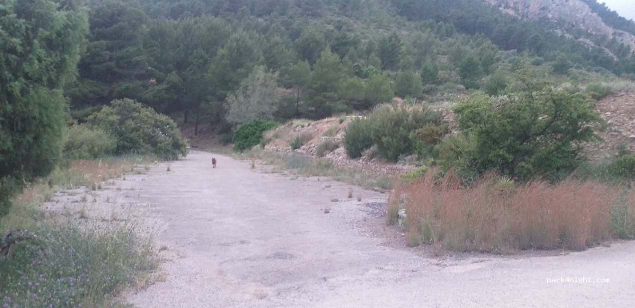 (46177) Tuéjar - Unnamed Road — foto