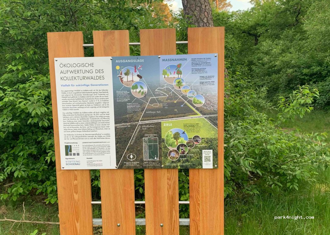 (68307) Mannheim - 15 Alter Frankfurter Weg — foto