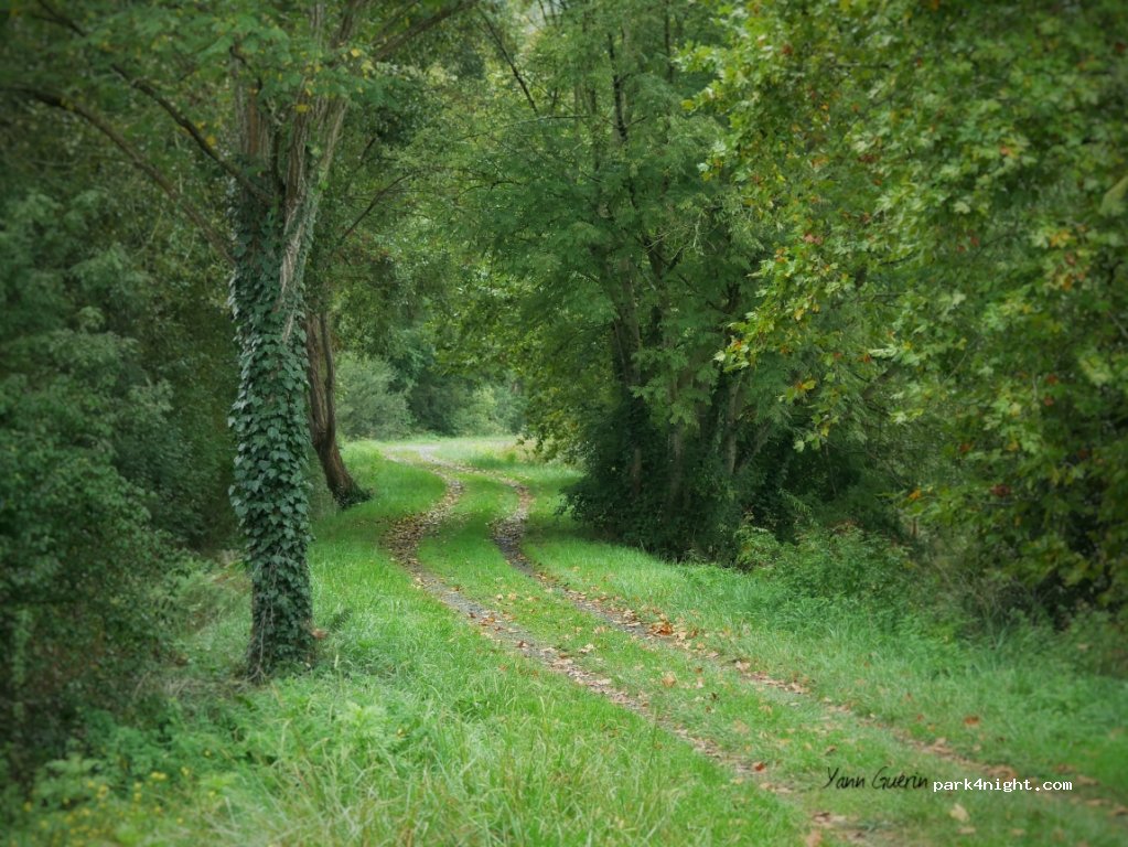 (64520) Bidache - 1160 Route de Guiche — foto 3