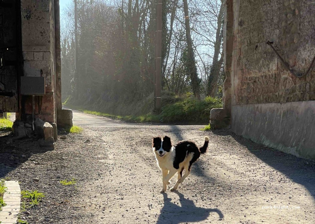 Le grand fumichon — foto 5