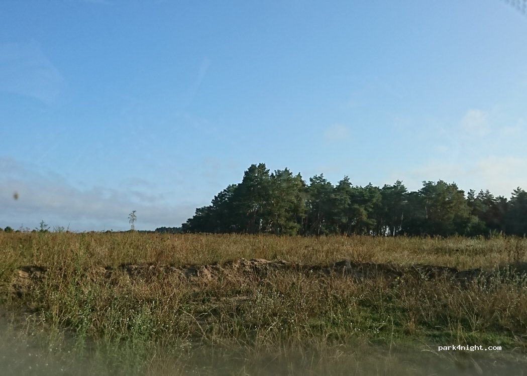 (39326) Wolmirstedt - 14B Am Sportplatz — foto 2