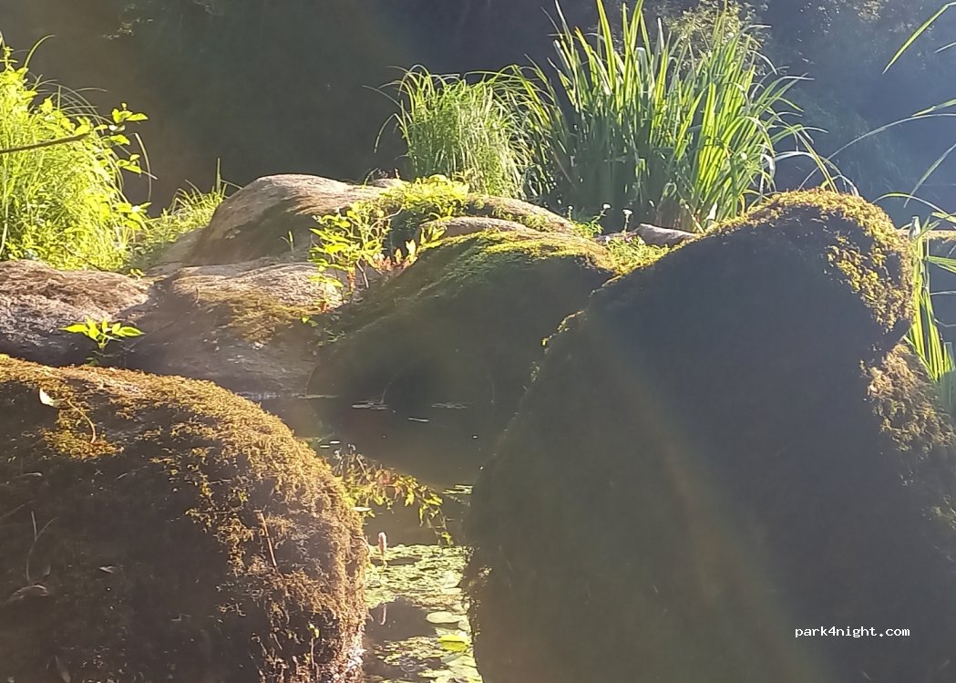(85610) Cugand - 17 La Doucinière — foto 4