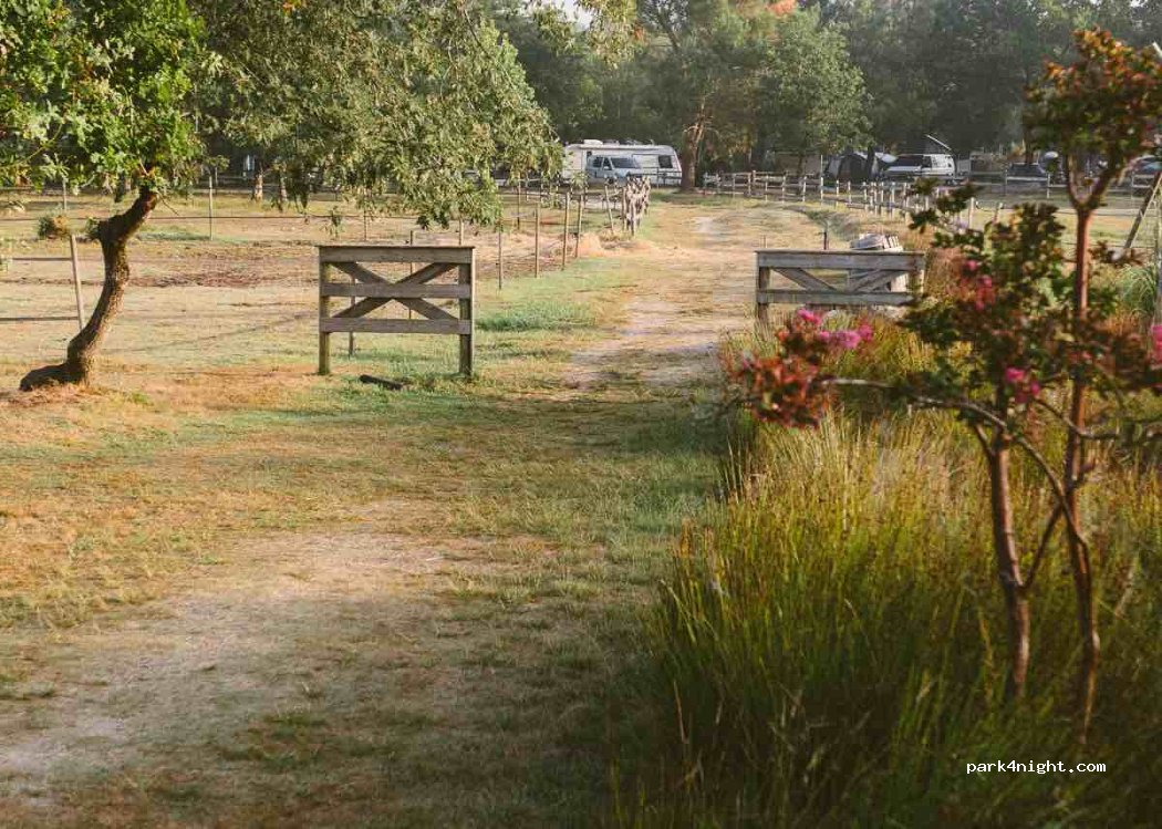 Le Village Western — foto 3
