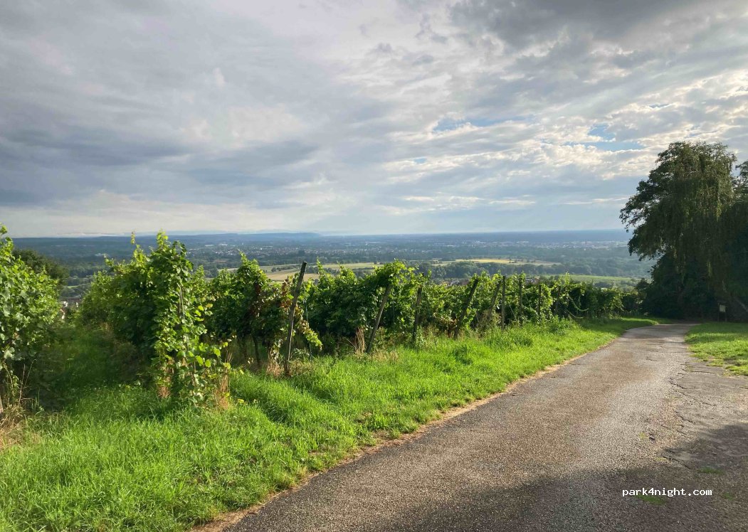 (69254) Malsch - Unnamed Road — foto 3
