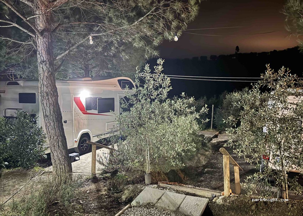 Wine Camping area di sosta camper Poggio ai Pini — foto 5